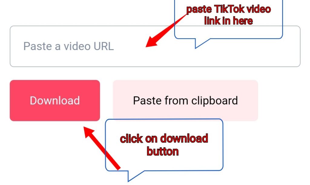 screenshot of input box on this TikTok video downloader tool shows where can you paste TikTok video link and it shows the "download" button 