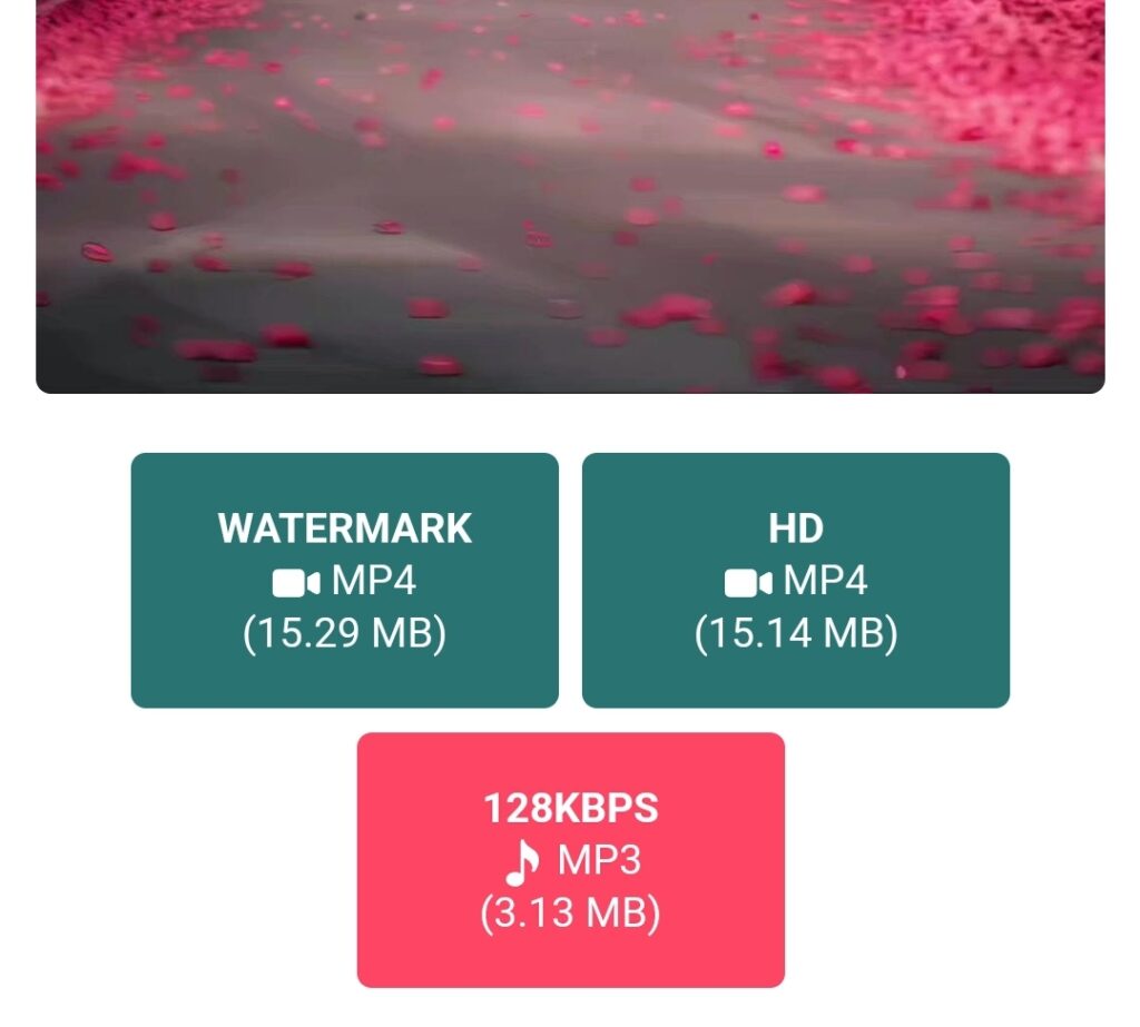 Screenshot image shows the list of available video formats to be downloaded by TikTok video downloader 